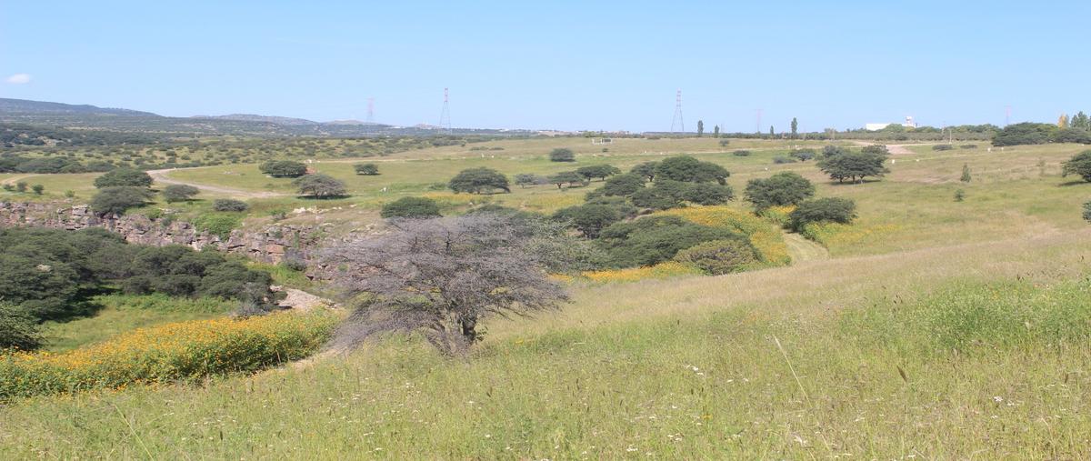 Foto de terreno habitacional en venta en  , santa lucia, cuauhtémoc, chihuahua, 0 No. 03