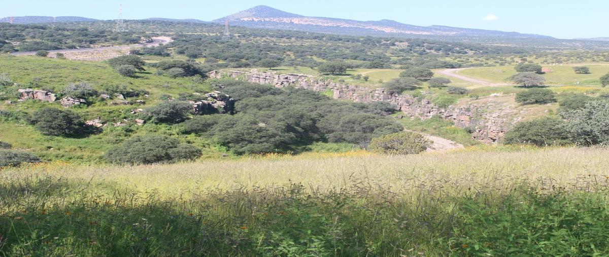 Foto de terreno habitacional en venta en  , santa lucia, cuauhtémoc, chihuahua, 0 No. 05