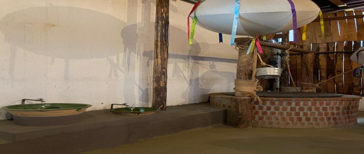 Foto de local en renta en  , santa lucia del camino, santa lucía del camino, oaxaca, 30258036 No. 03