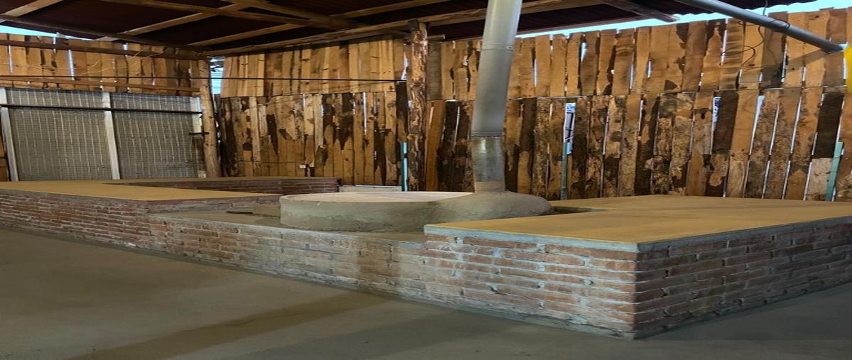 Foto de local en renta en  , santa lucia del camino, santa lucía del camino, oaxaca, 30258036 No. 05