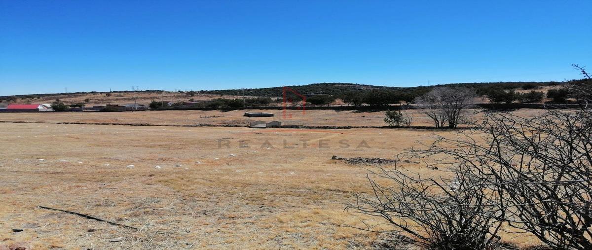 Foto de terreno habitacional en venta en santa lucía , guadalupe victoria, cuauhtémoc, chihuahua, 26294741 No. 04