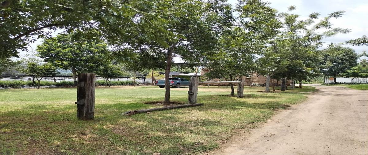 Foto de rancho en venta en santa lucia , prados santa lucia, zapopan, jalisco, 0 No. 04