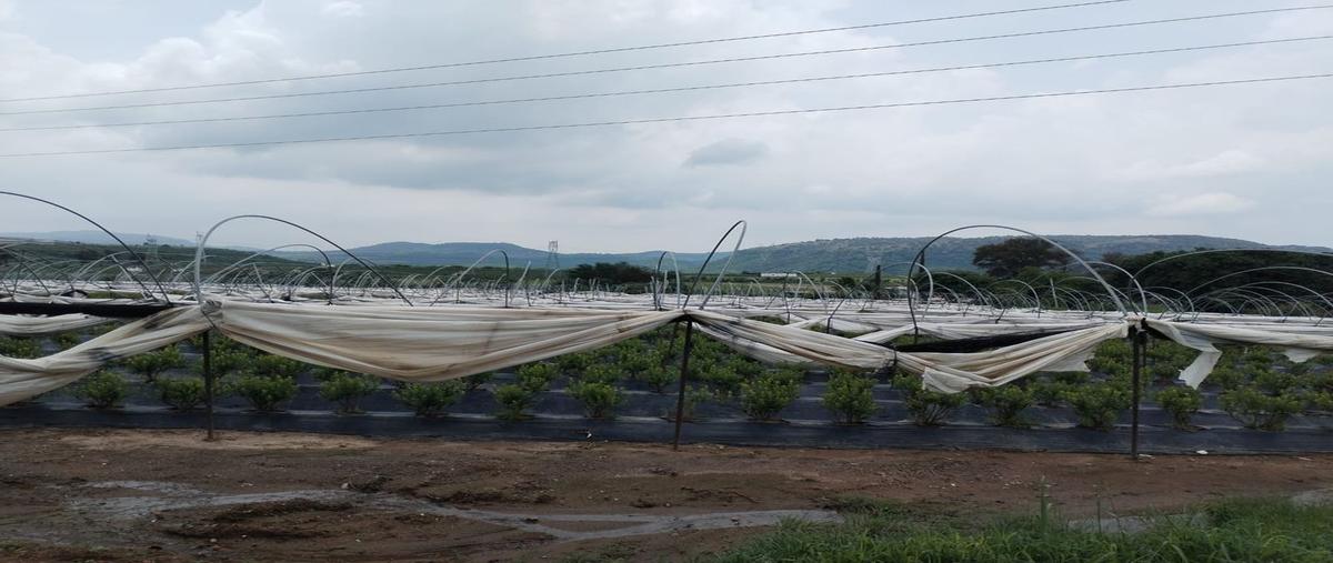 Foto de rancho en venta en santa lucia , prados santa lucia, zapopan, jalisco, 0 No. 05