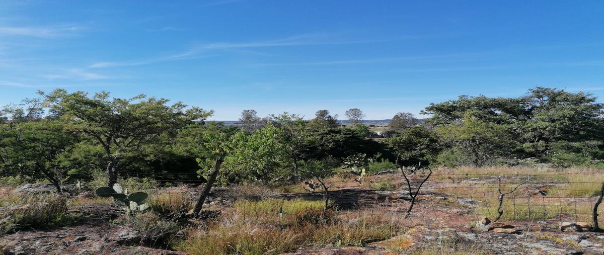 Foto de terreno habitacional en venta en  , santa lucia, san juan del río, querétaro, 25049000 No. 04