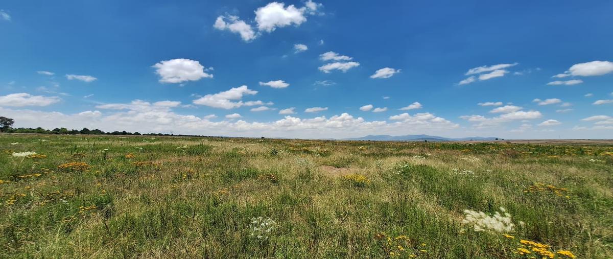 Foto de terreno habitacional en venta en  , santa lucia, san juan del río, querétaro, 0 No. 05