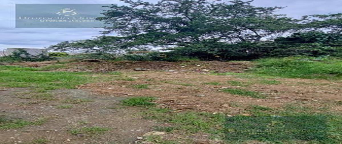 Foto de terreno habitacional en venta en  , santa lucía, santa lucía del camino, oaxaca, 28680706 No. 03