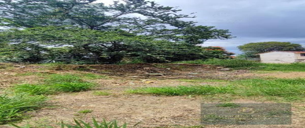 Foto de terreno habitacional en venta en  , santa lucía, santa lucía del camino, oaxaca, 28680706 No. 04