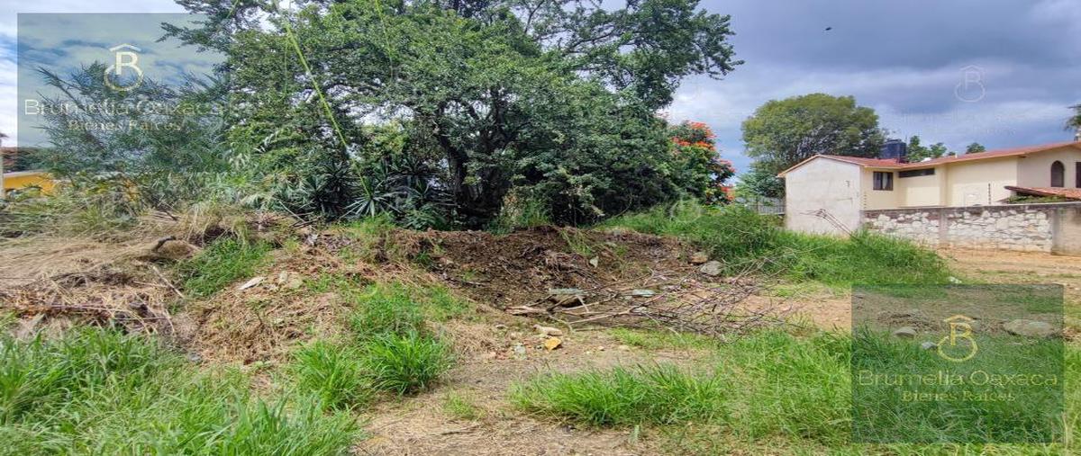Foto de terreno habitacional en venta en  , santa lucía, santa lucía del camino, oaxaca, 28680706 No. 05