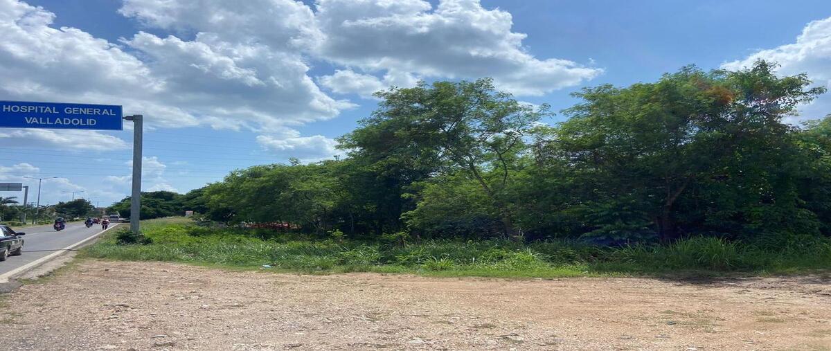 Foto de terreno habitacional en renta en  , santa lucia, valladolid, yucatán, 0 No. 03