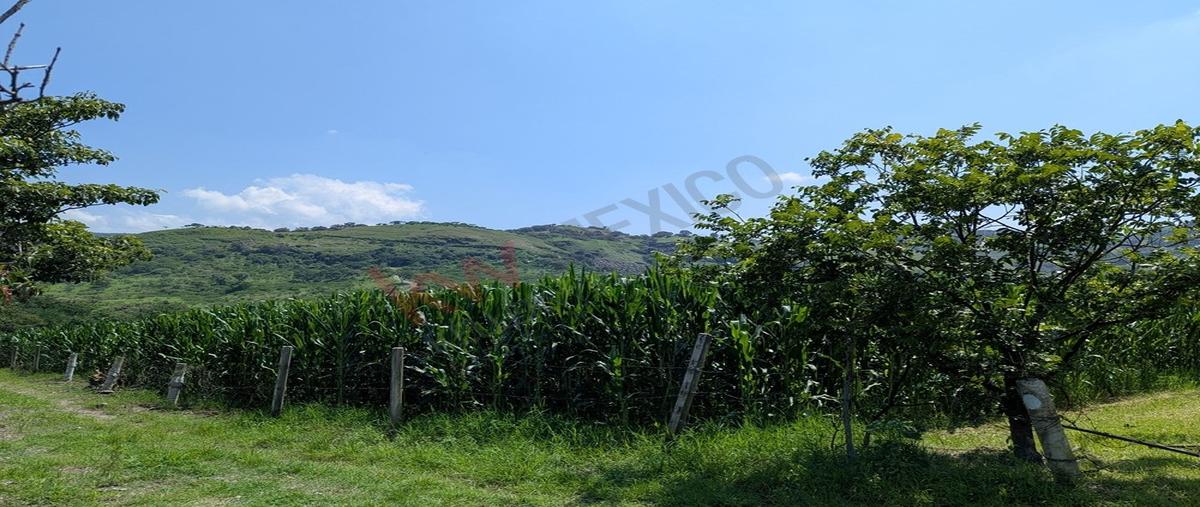 Foto de rancho en venta en  , santa lucia, zapopan, jalisco, 29532637 No. 05