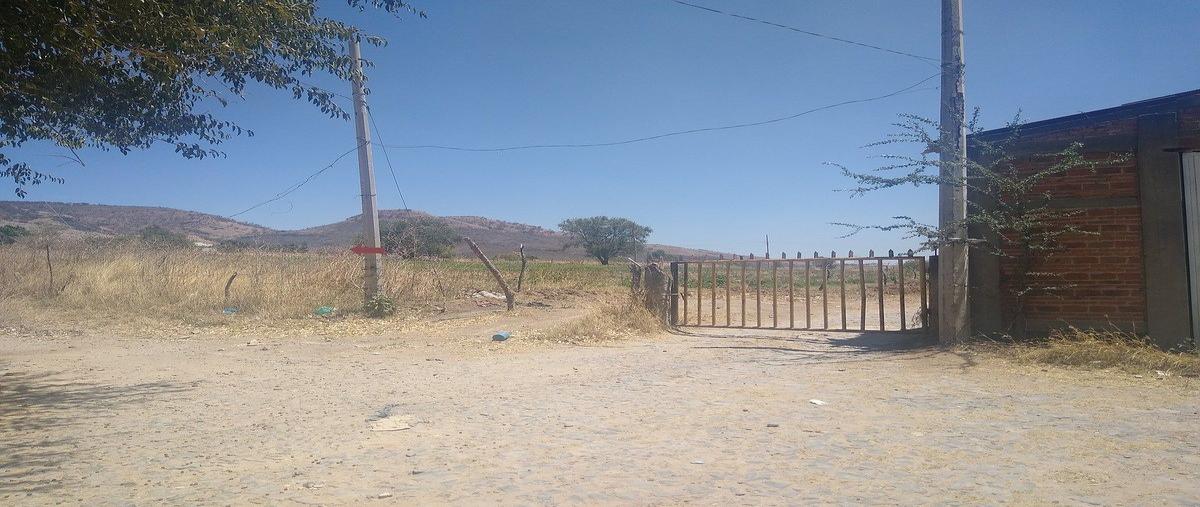 Foto de terreno habitacional en , santa lucia, zapopan, jalisco, 0 foto 03 Foto de terreno habitacional en venta en , santa lucia, zapopan, jalisco, 0 No. 03