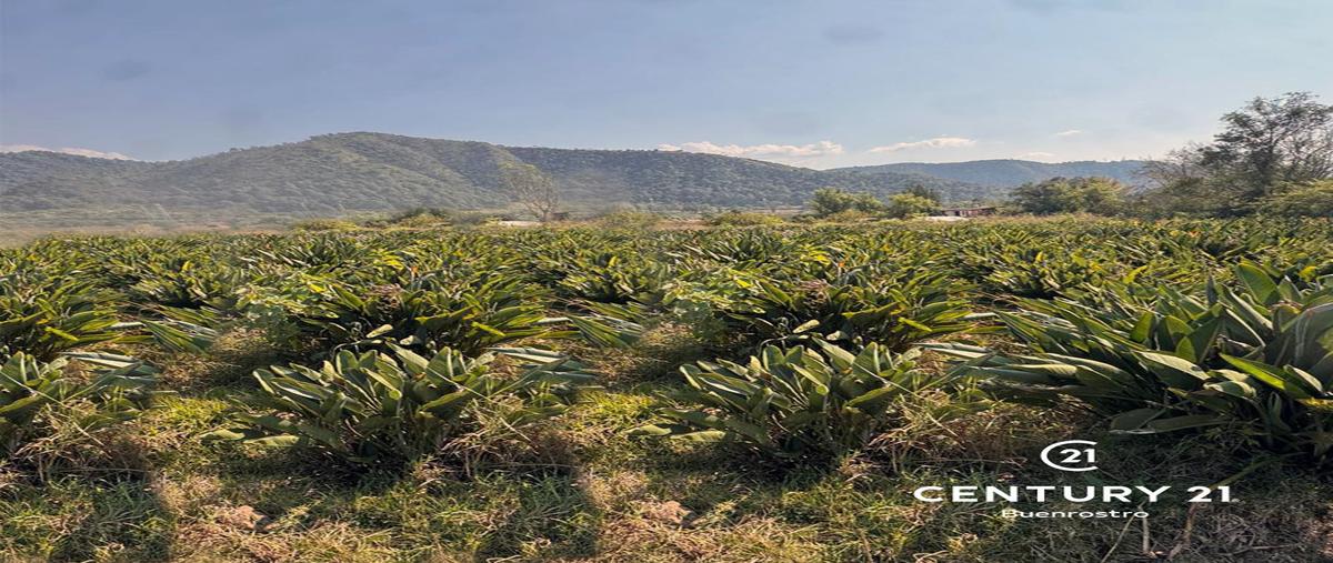 Foto de terreno habitacional en venta en  , santa magdalena tilostoc, valle de bravo, méxico, 30727534 No. 03