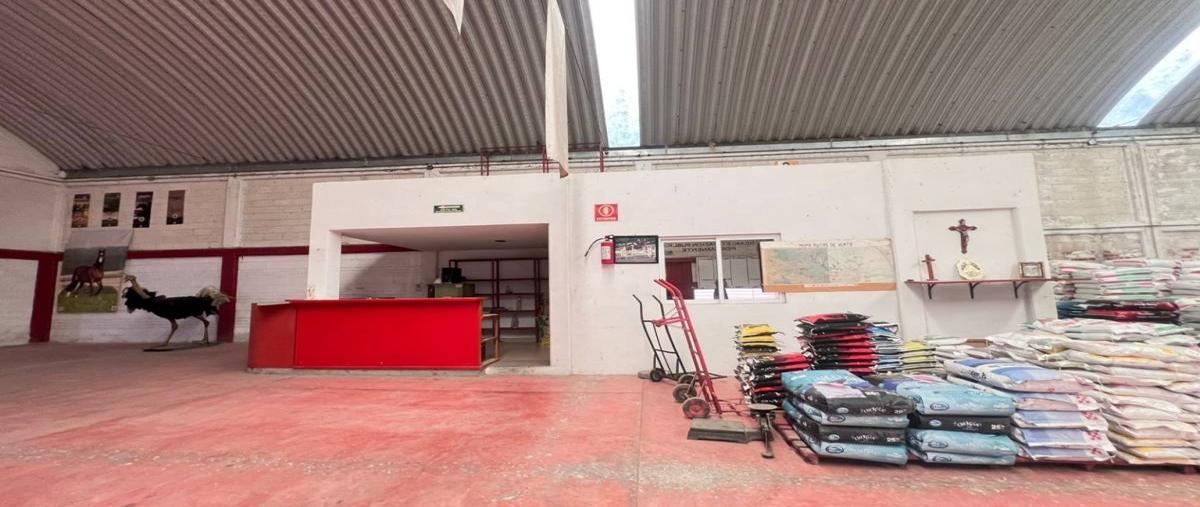 Foto de bodega en renta en  , santa maría acuexcomac, san pedro cholula, puebla, 0 No. 04