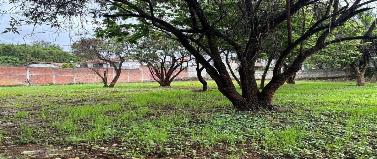 Foto de terreno habitacional en venta en  , santa maría ahuacatitlán, cuernavaca, morelos, 28365058 No. 05