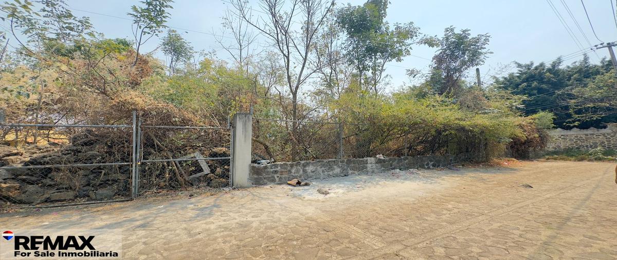 Foto de terreno habitacional en venta en santa maría ahuacatitlán , santa maría ahuacatitlán, cuernavaca, morelos, 29728747 No. 03