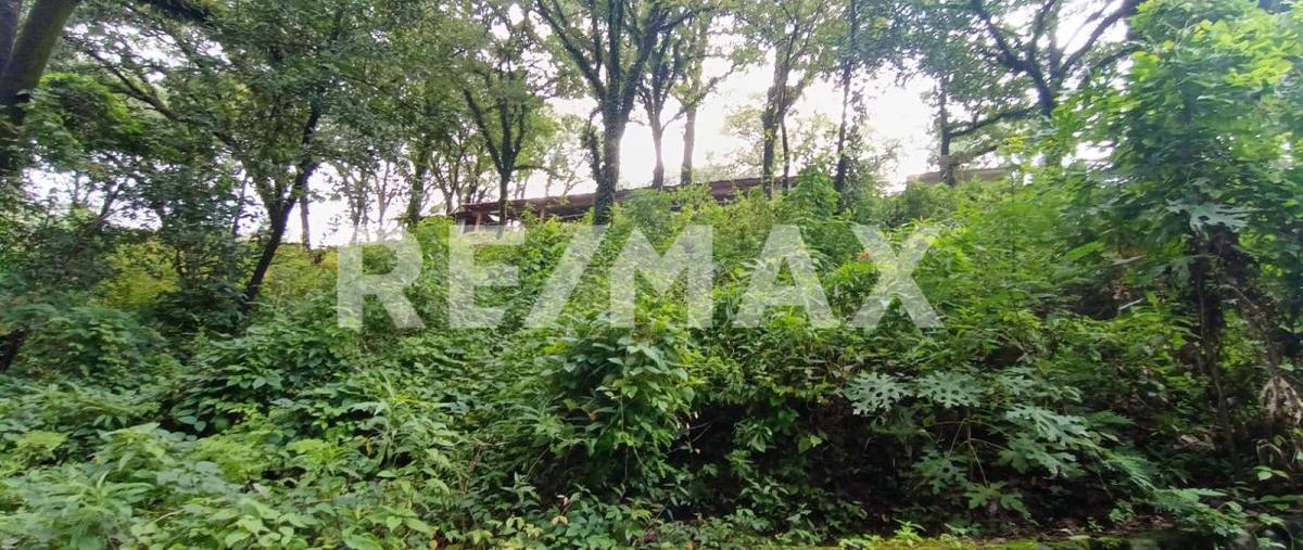 Foto de terreno habitacional en venta en santa maría ahuacatitlán , santa maría ahuacatitlán, cuernavaca, morelos, 30276853 No. 04