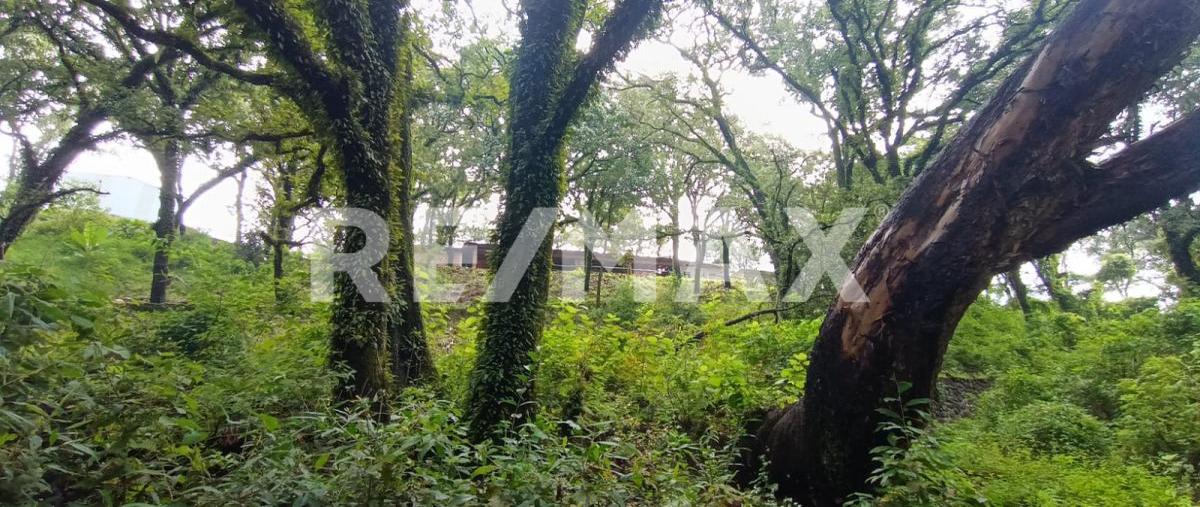 Foto de terreno habitacional en venta en santa maría ahuacatitlán , santa maría ahuacatitlán, cuernavaca, morelos, 30276853 No. 05