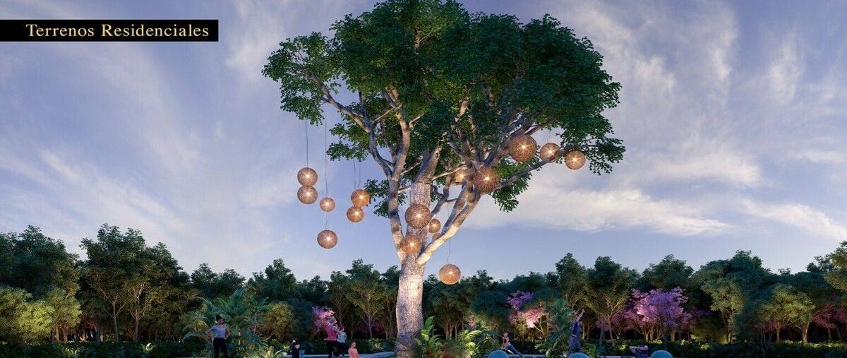 Foto de terreno habitacional en venta en  , santa maria chi, mérida, yucatán, 29134731 No. 03