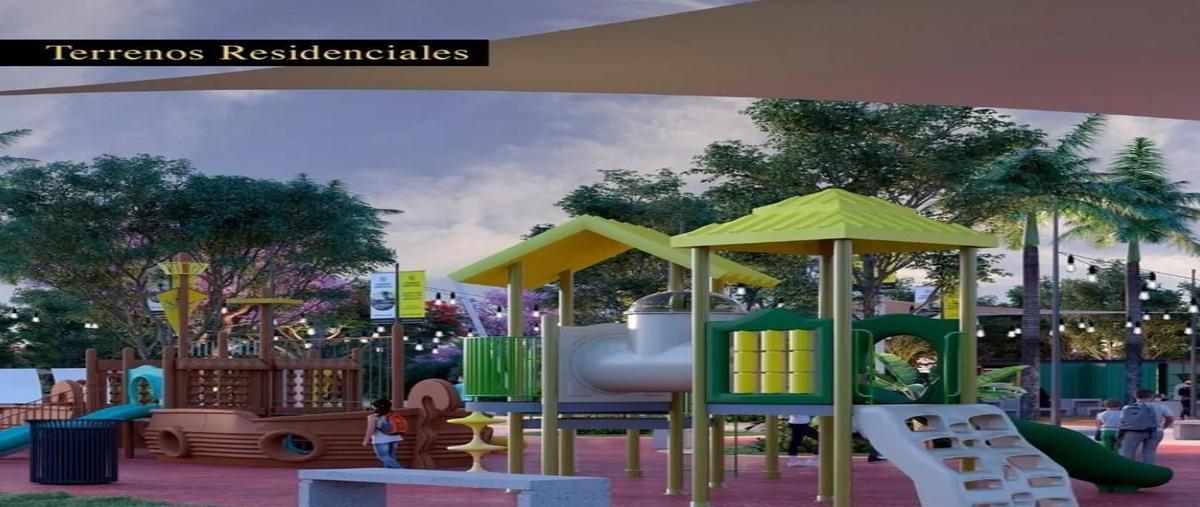 Foto de terreno habitacional en venta en  , santa maria chi, mérida, yucatán, 0 No. 05