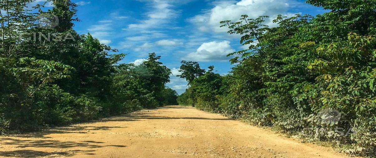 Foto de terreno habitacional en venta en  , santa maria chi, mérida, yucatán, 0 No. 03