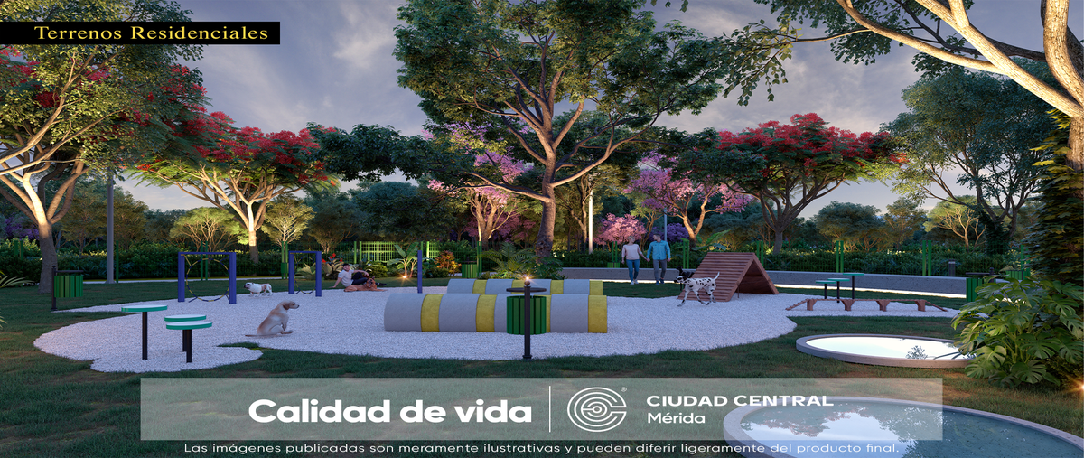 Foto de terreno habitacional en venta en  , santa maria chi, mérida, yucatán, 0 No. 03