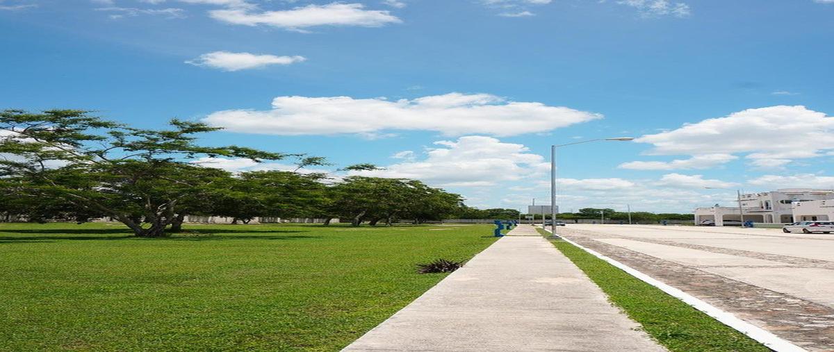 Foto de terreno habitacional en venta en  , santa maria chi, mérida, yucatán, 0 No. 03