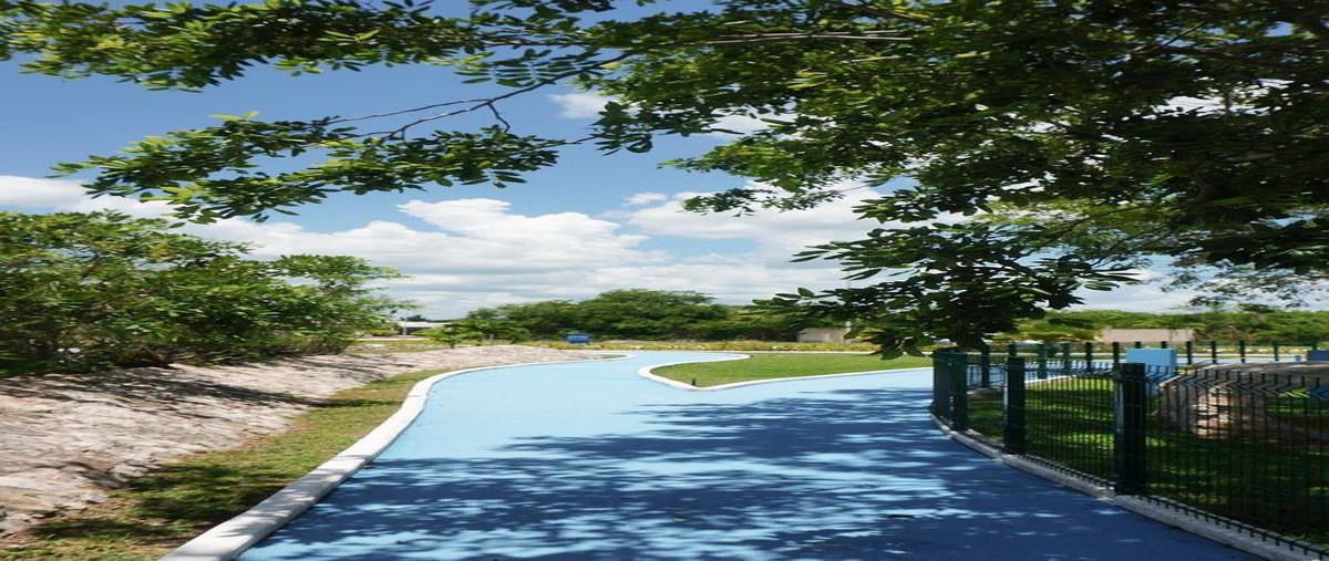 Foto de terreno habitacional en venta en  , santa maria chi, mérida, yucatán, 0 No. 04