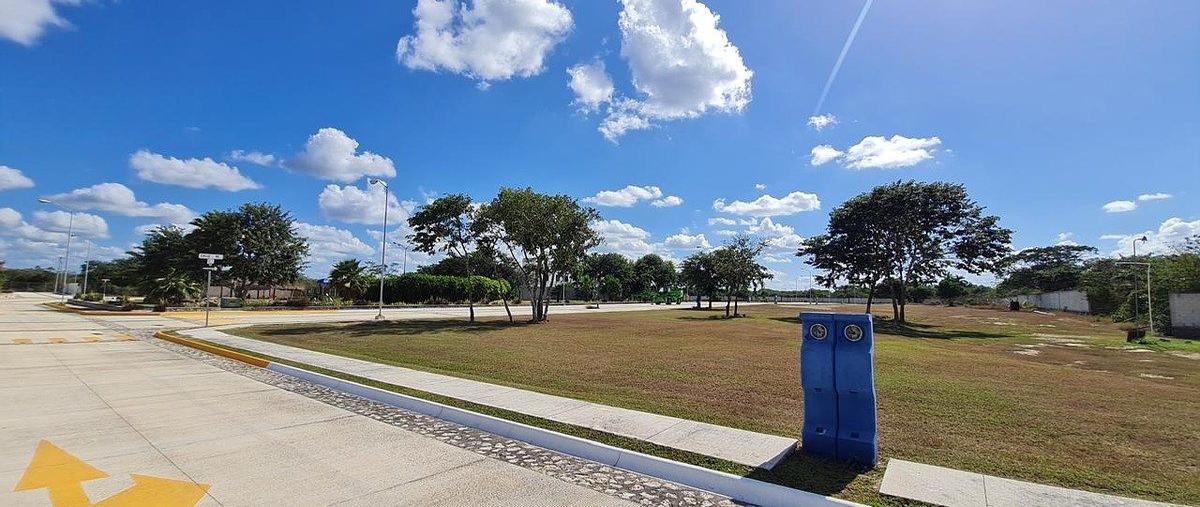 Foto de terreno habitacional en venta en  , santa maria chi, mérida, yucatán, 0 No. 05