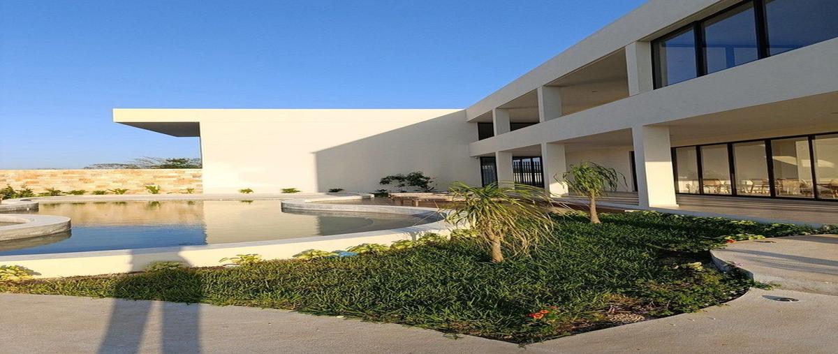 Foto de terreno habitacional en venta en  , santa maria chi, mérida, yucatán, 0 No. 03