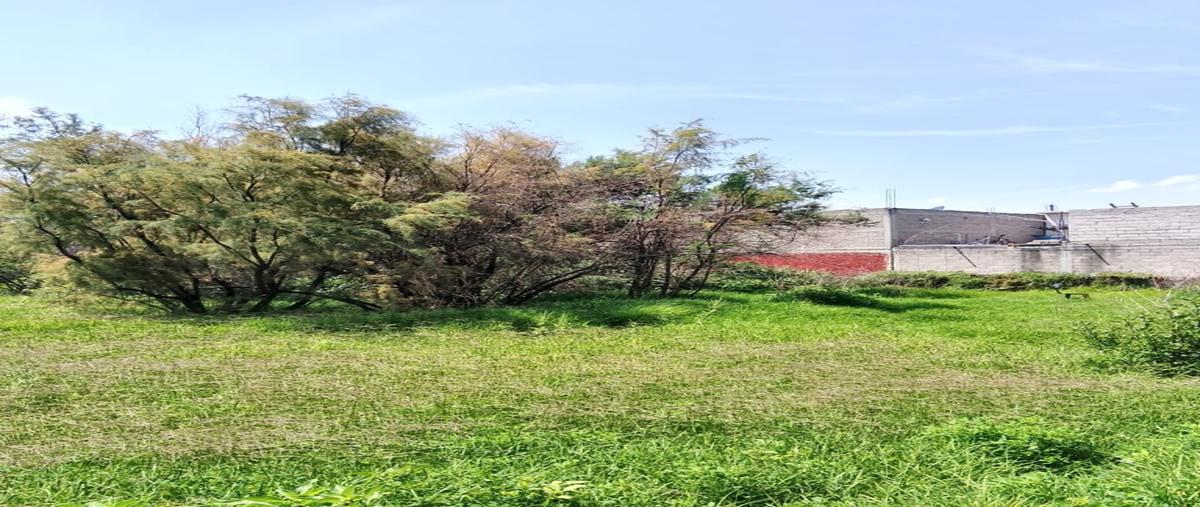 Foto de terreno habitacional en venta en  , santa maría chiconautla, ecatepec de morelos, méxico, 30228676 No. 04