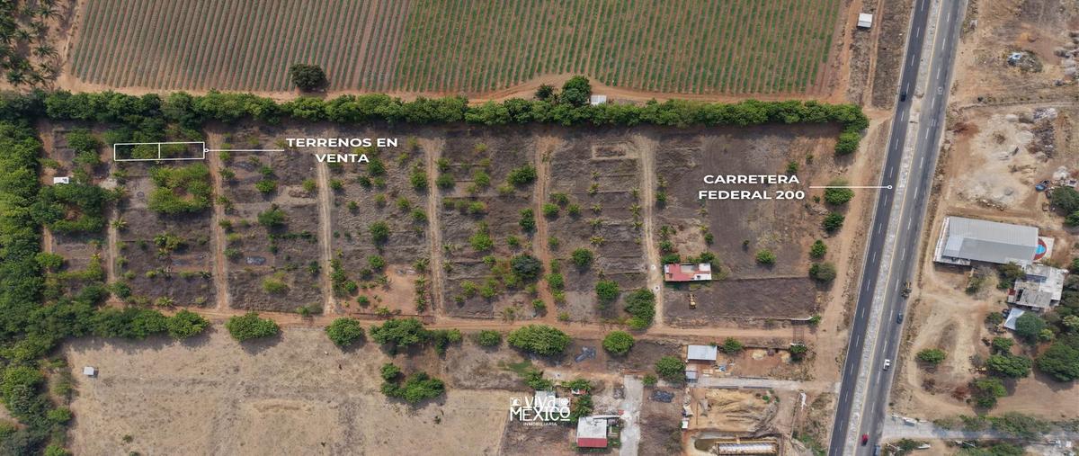 Foto de terreno habitacional en venta en  , santa maria colotepec, santa maría colotepec, oaxaca, 31083460 No. 04