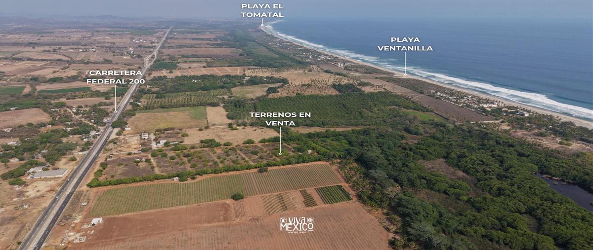 Foto de terreno habitacional en venta en  , santa maria colotepec, santa maría colotepec, oaxaca, 31083460 No. 05