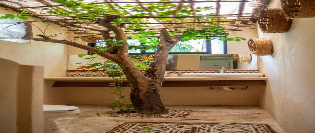 Foto de casa en venta en  , santa maria de guadalupe, mérida, yucatán, 0 No. 04