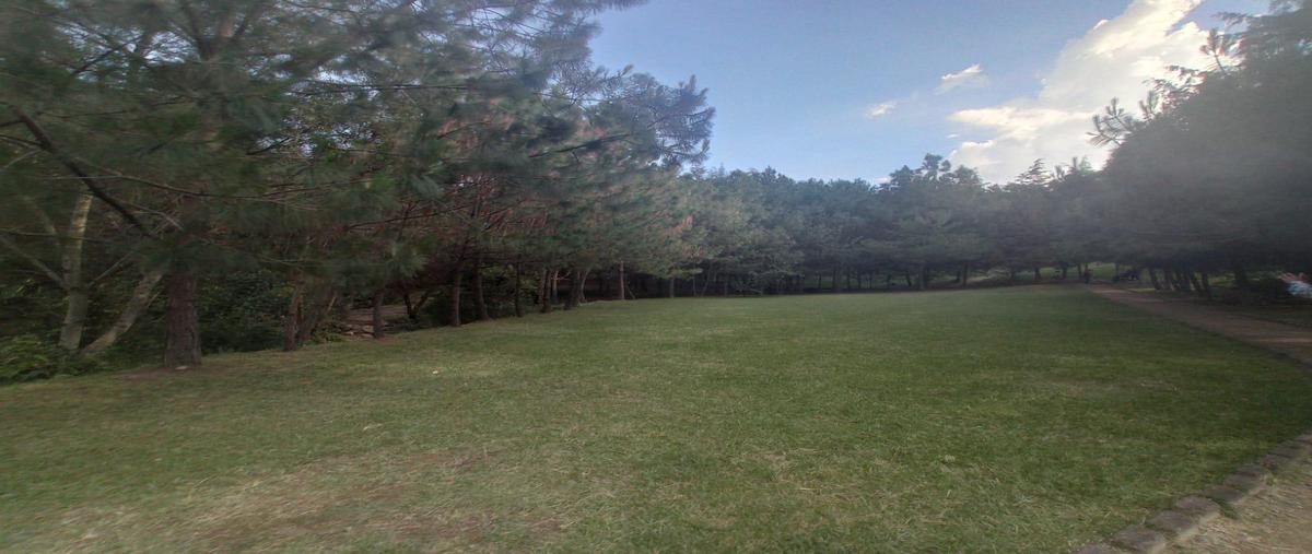 Foto de casa en renta en  , santa maria de guido, morelia, michoacán de ocampo, 0 No. 03