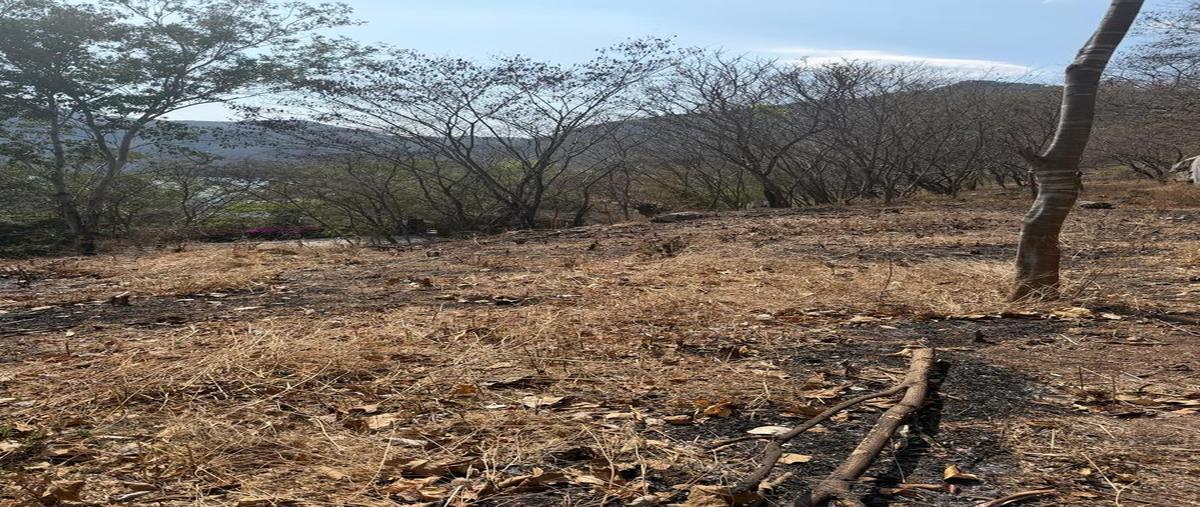 Foto de terreno habitacional en venta en  , santa maría del oro, santa maría del oro, nayarit, 0 No. 04