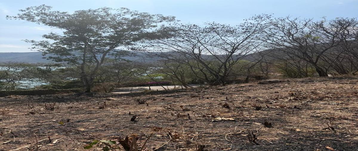 Foto de terreno habitacional en venta en  , santa maría del oro, santa maría del oro, nayarit, 0 No. 05