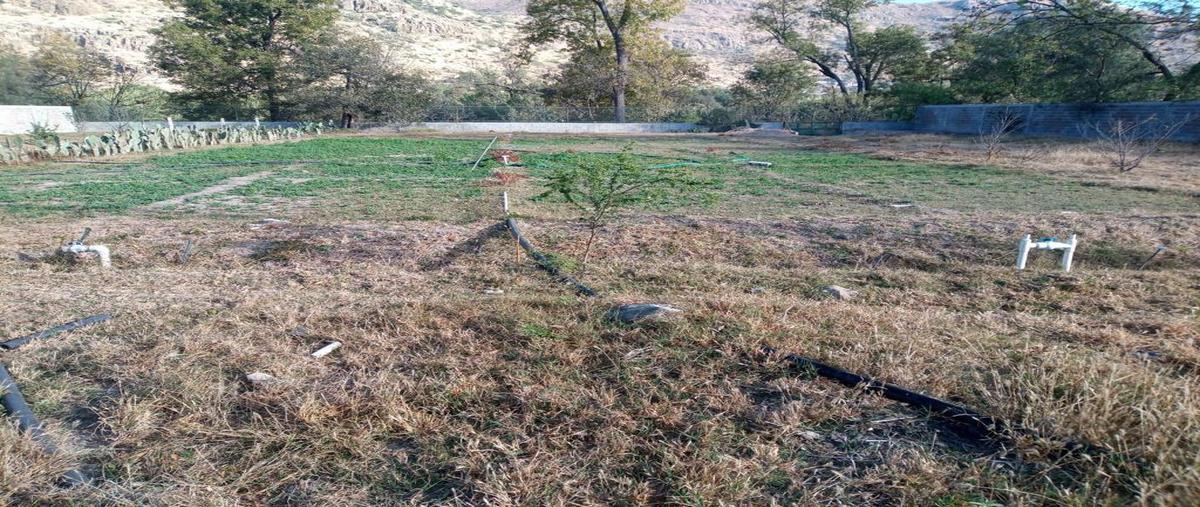 Foto de terreno habitacional en , santa maría del río centro, santa maría del río, san luis potosí, 0 foto 02 Foto de terreno habitacional en venta en , santa maría del río centro, santa maría del río, san luis potosí, 0 No. 02