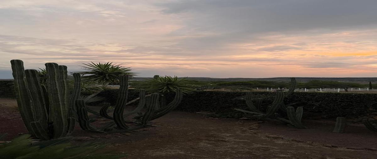 Foto de rancho en , santa maría del río centro, santa maría del río, san luis potosí, 0 foto 04 Foto de rancho en venta en , santa maría del río centro, santa maría del río, san luis potosí, 0 No. 04