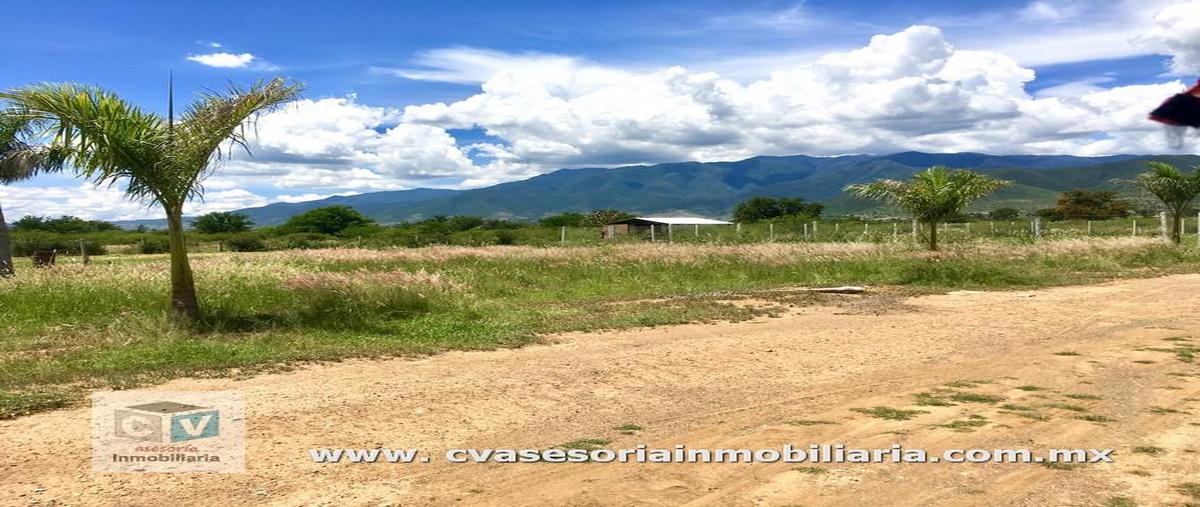 Foto de terreno habitacional en , santa maria del tule, santa maría del tule, oaxaca, 10066577 foto 03 Foto de terreno habitacional en venta en , santa maria del tule, santa maría del tule, oaxaca, 10066577 No. 03