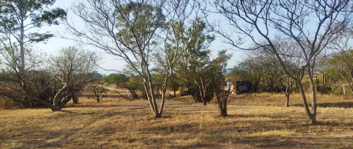 Foto de terreno habitacional en venta en  , santa maria del tule, santa maría del tule, oaxaca, 28026170 No. 03