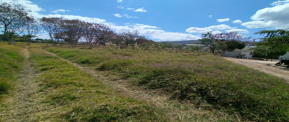Foto de terreno habitacional en venta en  , santa maria del tule, santa maría del tule, oaxaca, 0 No. 04