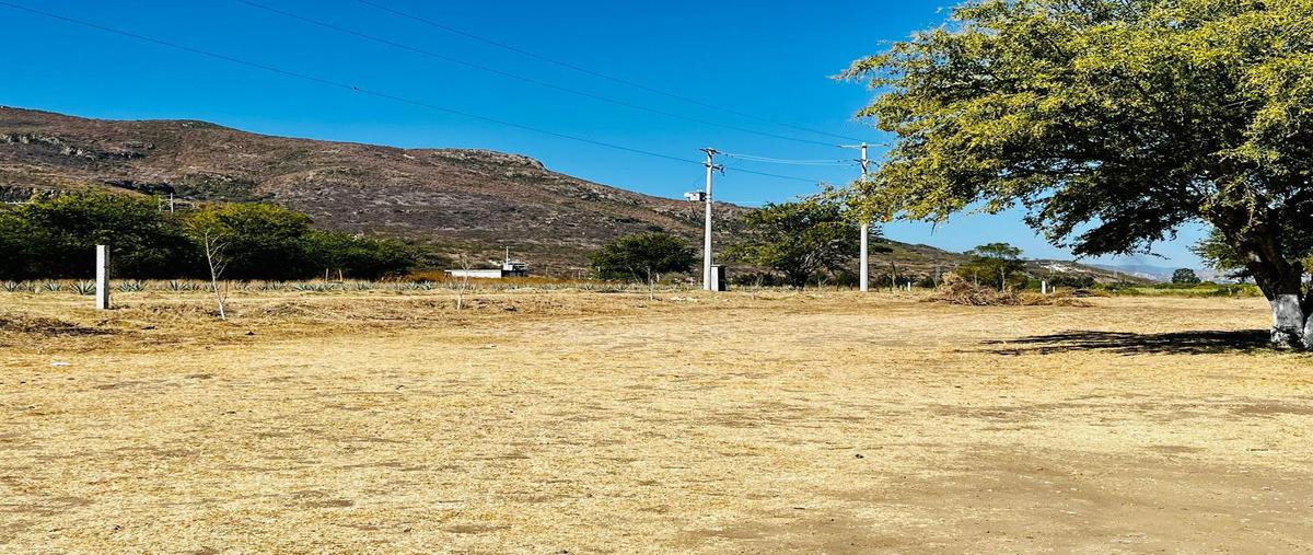 Foto de terreno habitacional en venta en  , santa maria del tule, santa maría del tule, oaxaca, 0 No. 03
