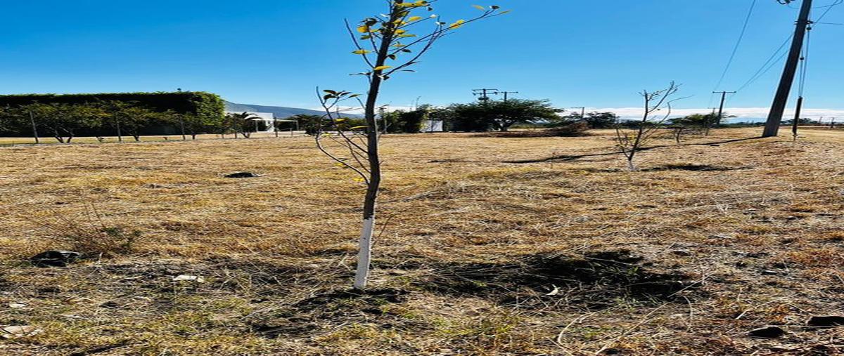 Foto de terreno habitacional en venta en  , santa maria del tule, santa maría del tule, oaxaca, 0 No. 04