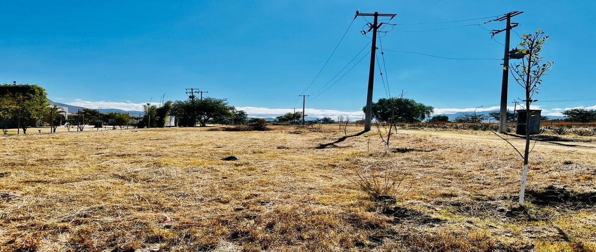 Foto de terreno habitacional en venta en  , santa maria del tule, santa maría del tule, oaxaca, 0 No. 05