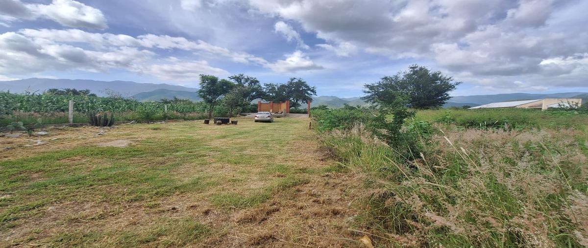 Foto de casa en venta en  , santa maria del tule, santa maría del tule, oaxaca, 30065175 No. 03