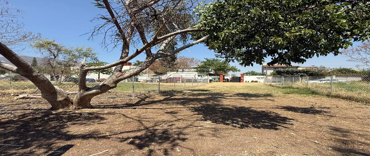 Foto de terreno habitacional en venta en  , santa maria del tule, santa maría del tule, oaxaca, 0 No. 03