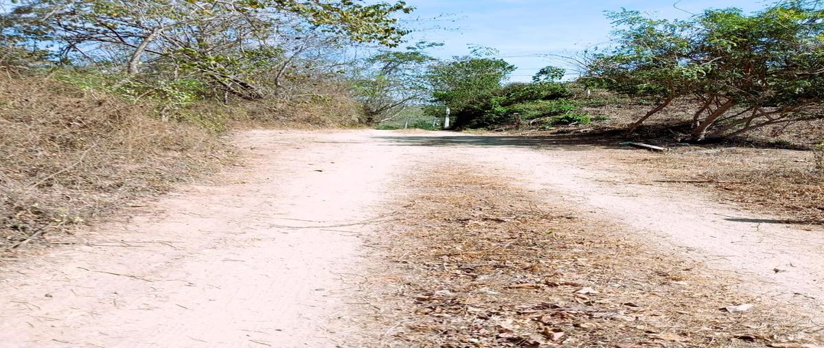Foto de terreno habitacional en , santa maria huatulco centro, santa maría huatulco, oaxaca, 0 foto 05 Foto de terreno habitacional en venta en , santa maria huatulco centro, santa maría huatulco, oaxaca, 0 No. 05