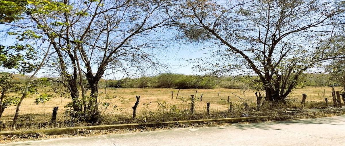 Foto de terreno habitacional en venta en  , santa maria huatulco centro, santa maría huatulco, oaxaca, 0 No. 03