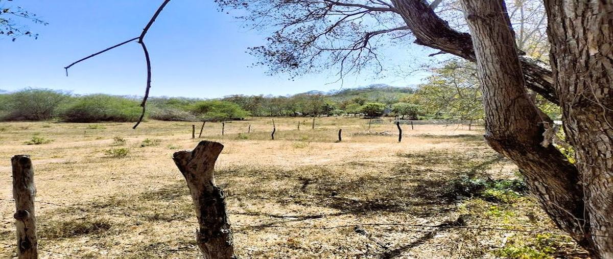 Foto de terreno habitacional en venta en  , santa maria huatulco centro, santa maría huatulco, oaxaca, 0 No. 04