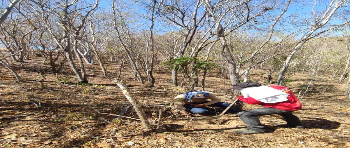 Foto de terreno habitacional en venta en  , santa maria huatulco centro, santa maría huatulco, oaxaca, 0 No. 03